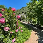 Il Frantoio Di Luna - Levanto, 5 Terre Apartman Levanto